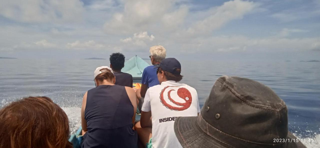 Arborek Diving Homestay R4 Besir Dış mekan fotoğraf